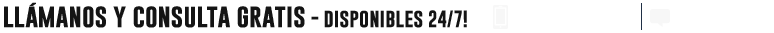 Leo logo